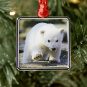 Cutest Baby Animals Baby Polar Bear Cub Metal Ornament