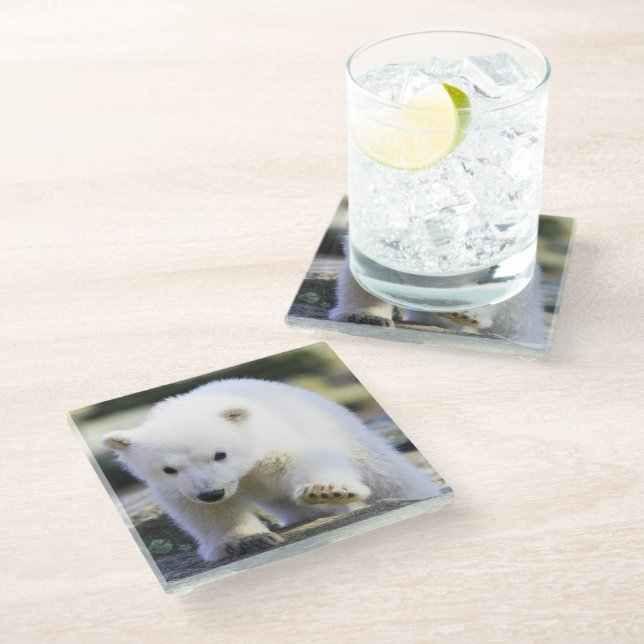 Cutest Baby Animals | Baby Polar Bear Glass Coaster (Angled)