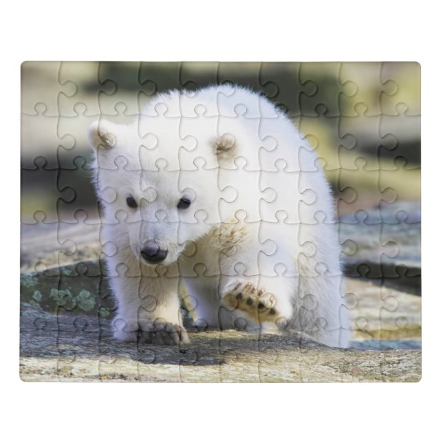Cutest Baby Animals | Baby Polar Bear Jigsaw Puzzle (Puzzle Horizontal)