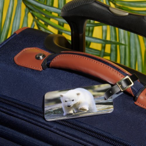 Cutest Baby Animals  Baby Polar Bear Luggage Tag