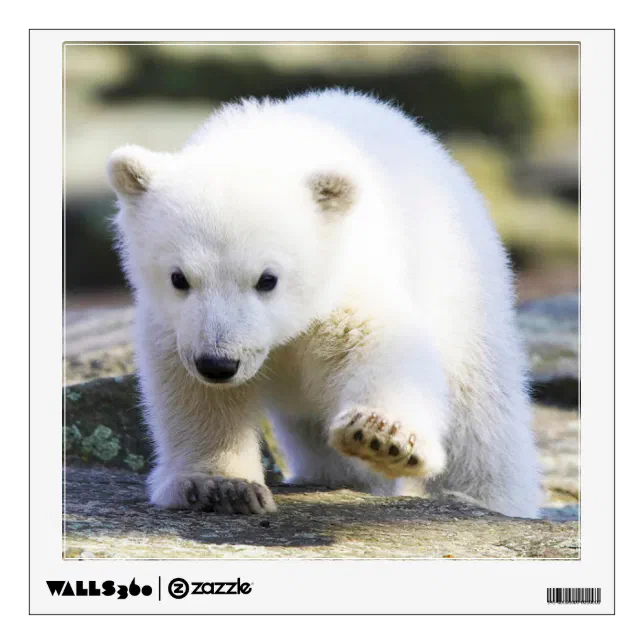 Baby Polar Bear Stickers, Zazzle