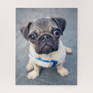 Cutest Baby Animals Baby Pug Jigsaw Puzzle