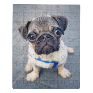 Cutest Baby Animals Baby Pug Jigsaw Puzzle