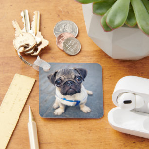 Cutest Baby Animals   Baby Pug Keychain
