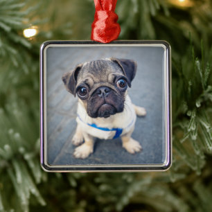 Cutest Baby Animals Baby Pug Metal Ornament