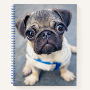 Cutest Baby Animals   Baby Pug Notebook