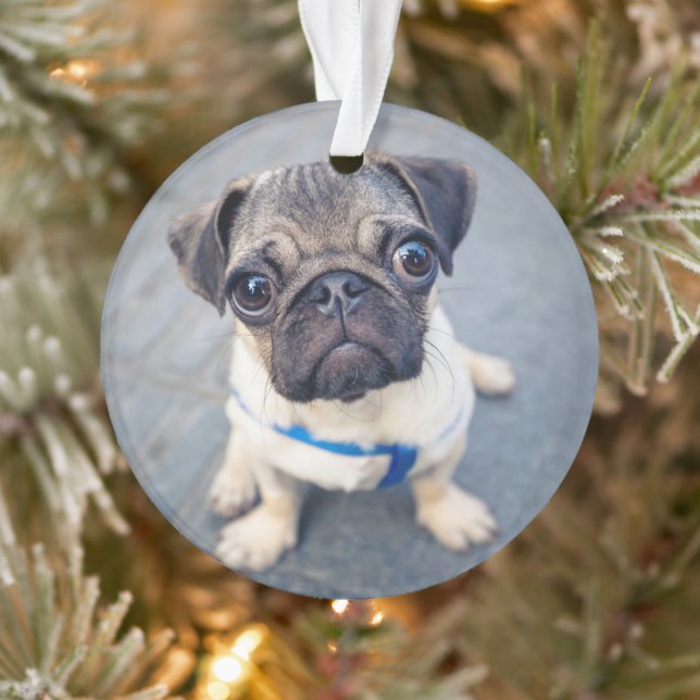 Cutest Baby Animals | Baby Pug Ornament (Tree)