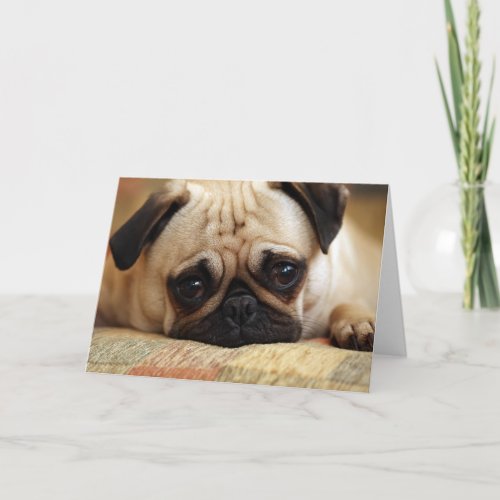 Cutest Baby Animals  Baby Pug Puppy Card