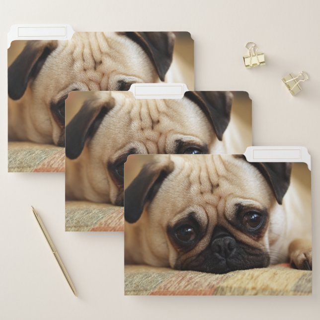 Cutest Baby Animals | Baby Pug Puppy File Folder (Set)