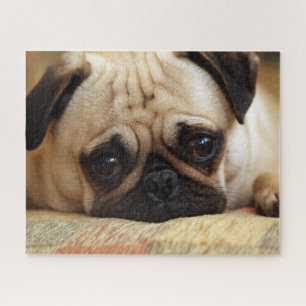 Cutest Baby Animals Baby Pug Puppy Jigsaw Puzzle