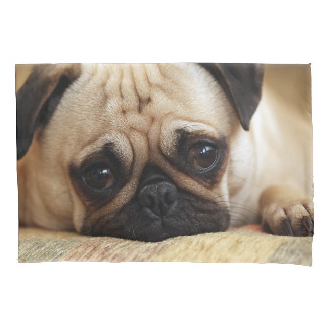 Cutest Baby Animals | Baby Pug Puppy Pillow Case (Front)