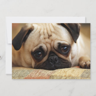 Cutest Baby Animals | Baby Pug Puppy Thank You Card