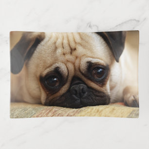 Cutest Baby Animals Baby Pug Puppy Trinket Tray