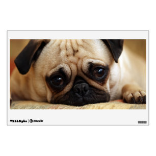 Cutest Baby Animals Baby Pug Puppy Wall Decal