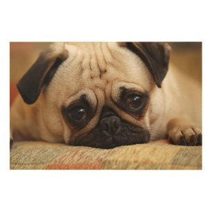 Cutest Baby Animals Baby Pug Puppy Wood Wall Art