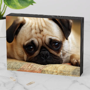Cutest Baby Animals Baby Pug Puppy Wooden Box Sign