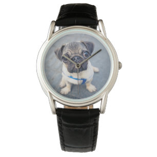 Cutest Baby Animals Baby Pug Watch