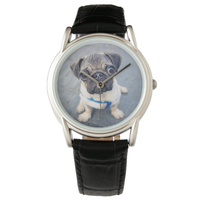 Cutest Baby Animals | Baby Pug Watch (Front)