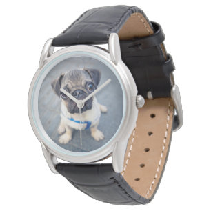 Cutest Baby Animals   Baby Pug Watch