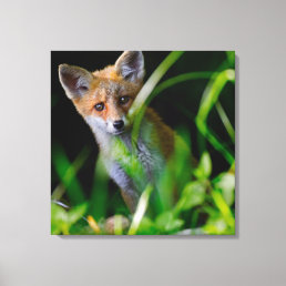 Cutest Baby Animals | Baby Red Fox Canvas Print