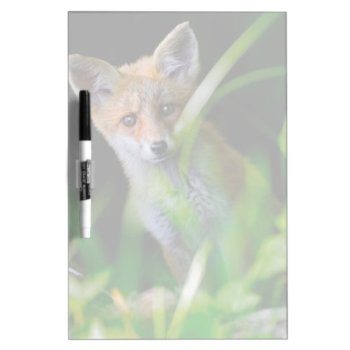 Cutest Baby Animals  Baby Red Fox Dry Erase Board