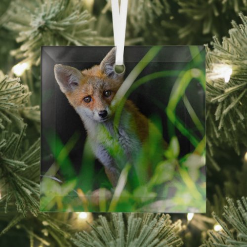 Cutest Baby Animals  Baby Red Fox Glass Ornament