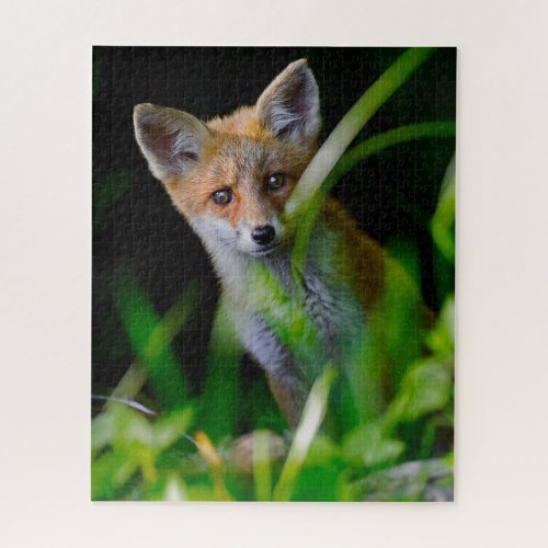 Cutest Baby Animals  Baby Red Fox Jigsaw Puzzle