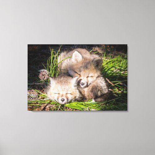 Cutest Baby Animals  Baby Red Fox Kits Sleeping Canvas Print