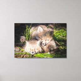 Cutest Baby Animals | Baby Red Fox Kits Sleeping Canvas Print