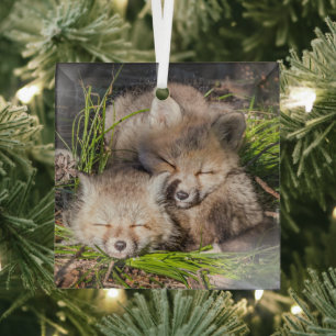 Cutest Baby Animals Baby Red Fox Kits Sleeping Glass Ornament