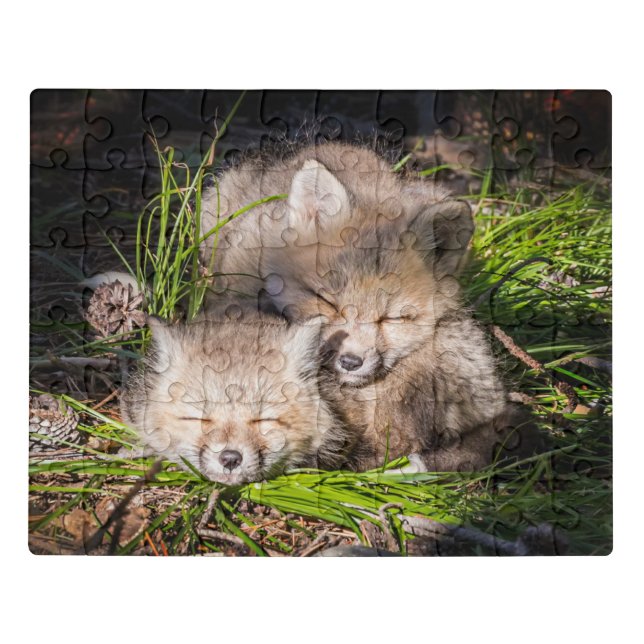 Cutest Baby Animals | Baby Red Fox Kits Sleeping Jigsaw Puzzle (Puzzle Horizontal)