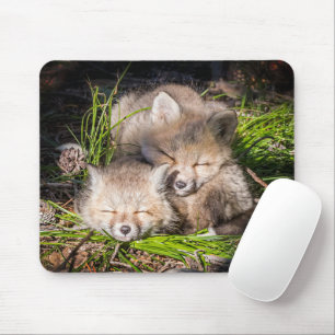 Cutest Baby Animals Baby Red Fox Kits Sleeping Mouse Pad