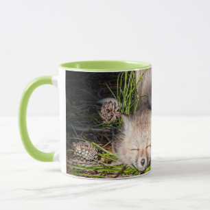 Cutest Baby Animals Baby Red Fox Kits Sleeping Mug