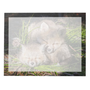 Cutest Baby Animals Baby Red Fox Kits Sleeping Notepad