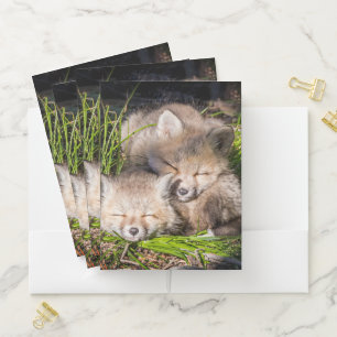 Cutest Baby Animals Baby Red Fox Kits Sleeping Pocket Folder