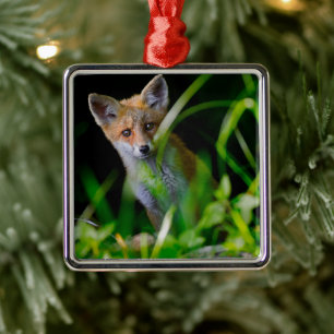 Cutest Baby Animals Baby Red Fox Metal Ornament
