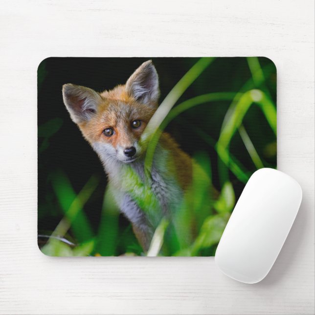 Cutest Baby Animals | Baby Red Fox Mouse Pad (With Mouse)