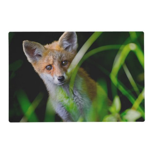 Cutest Baby Animals  Baby Red Fox Placemat