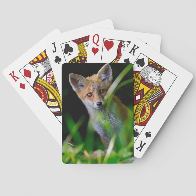 Cutest Baby Animals | Baby Red Fox Poker Cards (Back)