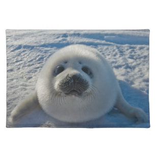Cutest Baby Animals Baby Seal Cloth Placemat