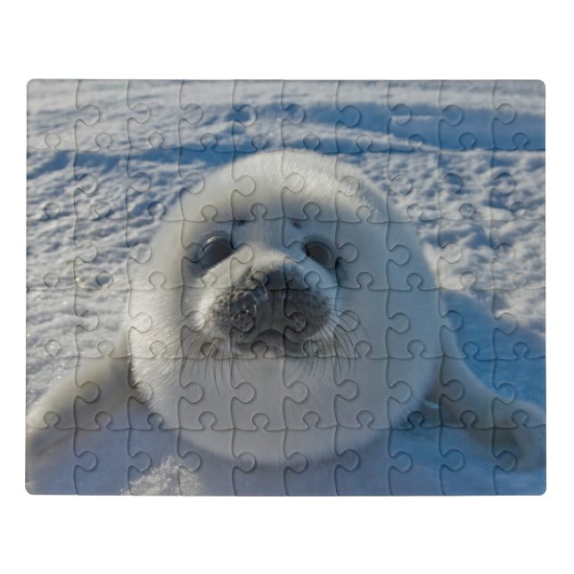 Cutest Baby Animals | Baby Seal Jigsaw Puzzle (Puzzle Horizontal)