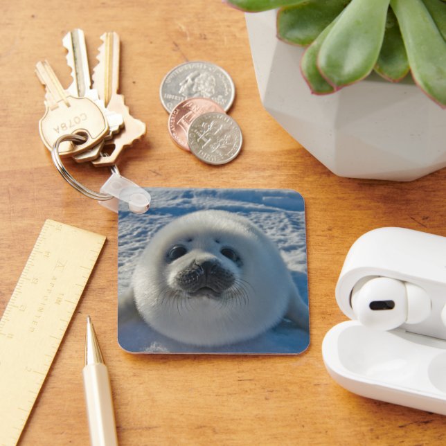 Cutest Baby Animals | Baby Seal Keychain (Desk)