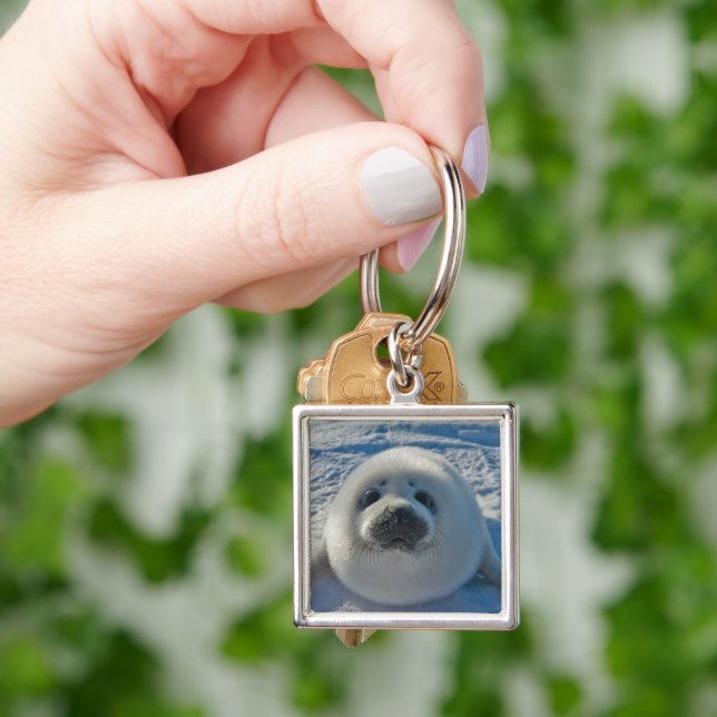 Cutest Baby Animals | Baby Seal Keychain (Hand)