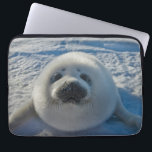Cutest Baby Animals | Baby Seal Laptop Sleeve<br><div class="desc">This cute Getty Images photo features a baby seal.</div>