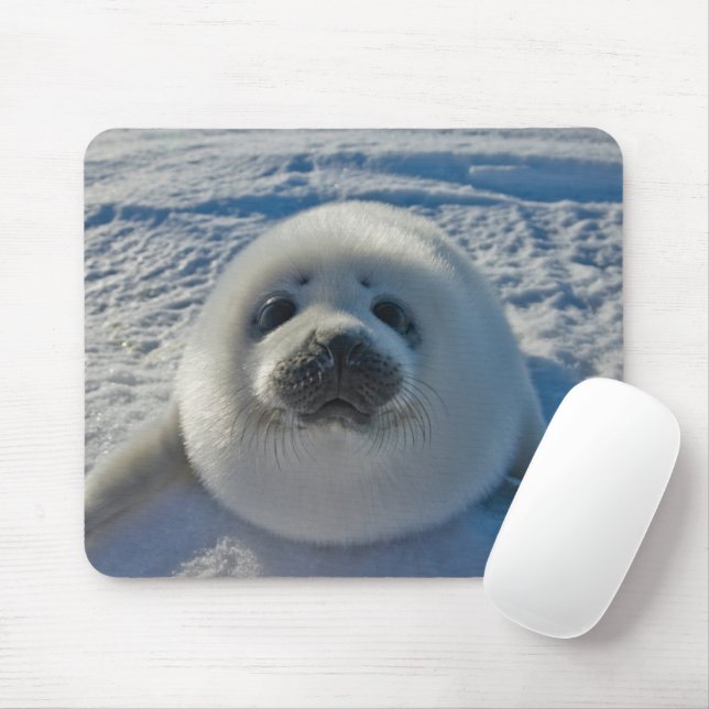 Cutest Baby Animals | Baby Seal Mouse Pad (With Mouse)