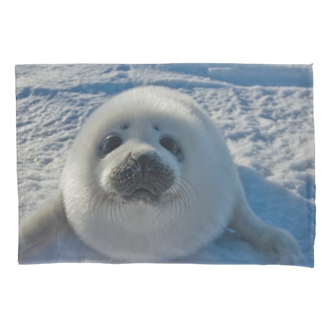 Cutest Baby Animals | Baby Seal Pillow Case (Front)