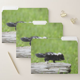 Cutest Baby Animals Baby Skunk File Folder