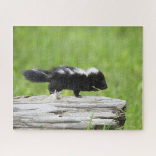 Cutest Baby Animals Baby Skunk Jigsaw Puzzle