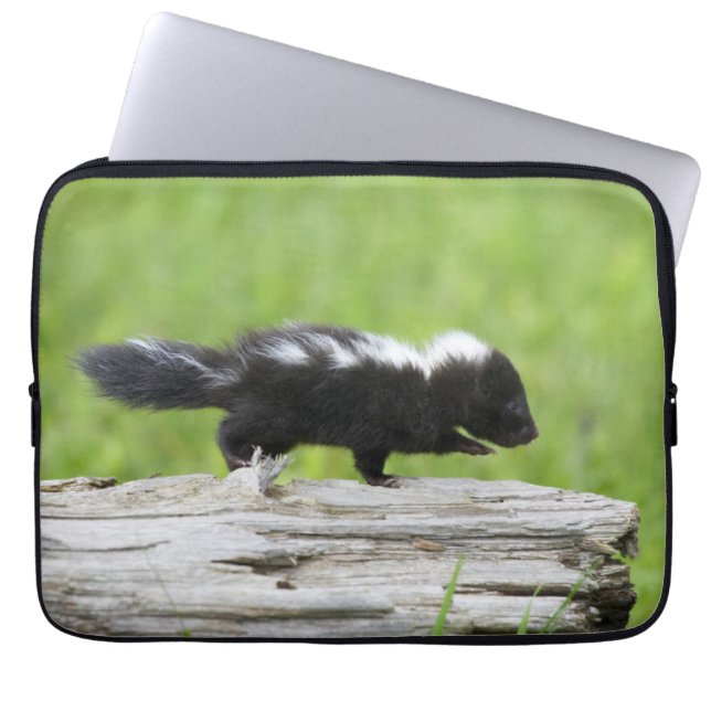 Cutest Baby Animals | Baby Skunk Laptop Sleeve (Front)