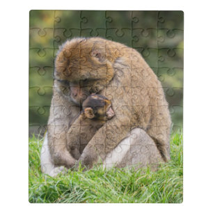 Cutest Baby Animals Barbary Macaque Family Jigsaw Puzzle